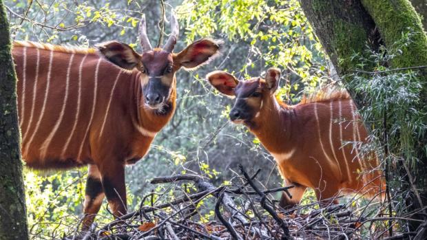 SPEC. NABÍDKA FAUNA-FLORA-PŘÍRODA 